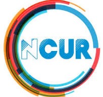 A logo on a white background has a circle of red and blue trapping the letters NCUR.