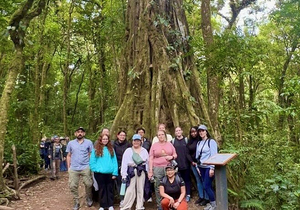 A group of people pose at the base of a very large exotic tree.